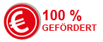 Logo 100% gefördert